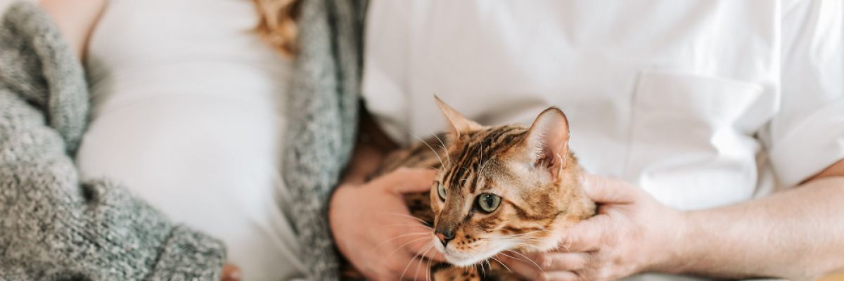 Toxoplasmosi congenita