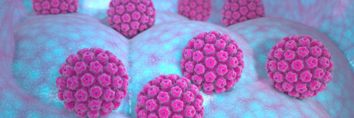 Vaccino Papilloma virus: il vaccino HPV